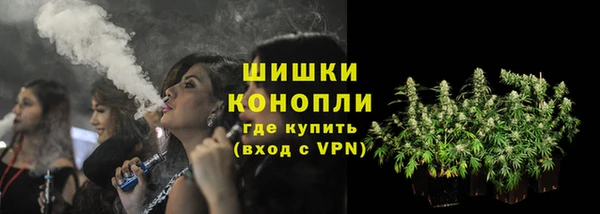 ГАЛЛЮЦИНОГЕННЫЕ ГРИБЫ Баксан