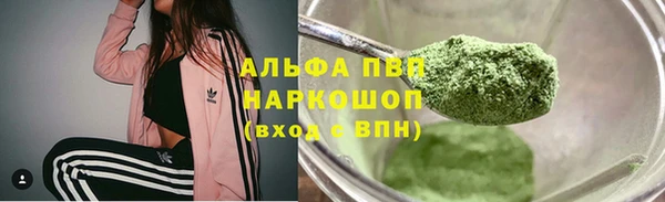 ГАЛЛЮЦИНОГЕННЫЕ ГРИБЫ Баксан