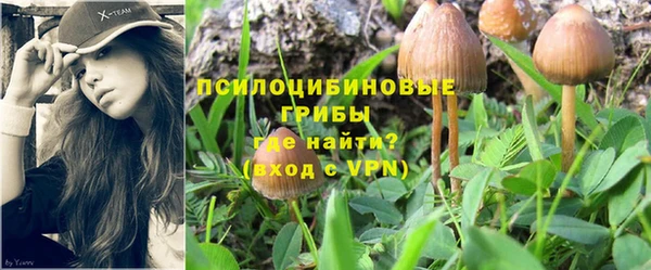 ГАЛЛЮЦИНОГЕННЫЕ ГРИБЫ Баксан